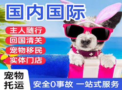 朝阳机场快递国际宠物托运 【国